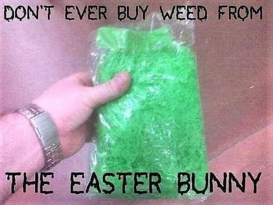 Photo of a hand with a watch on the wrist, holding a plastic bag full of fake plastic Easter basket grass. The meme text reads "Don't ever buy weed from the Easter Bunny."