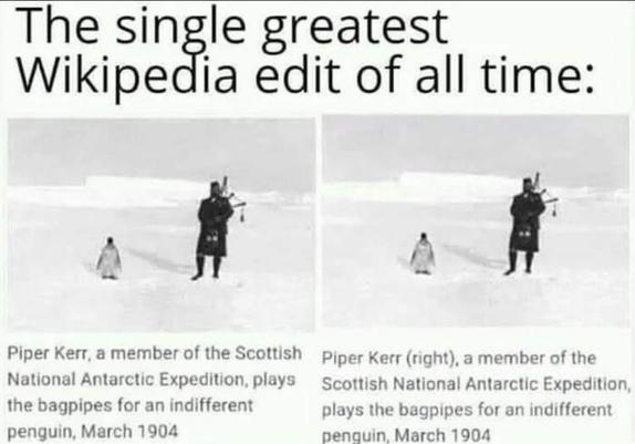 Two identical screenshots, side by side. Both have a bagpiper standing in the snow next to a penguin. 

The headline reads, "The single greatest Wikipedia edit of all time:"

The caption on the left reads:
"Piper Kerr, a member of the Scottish National Antarctic Expedition, plays the bagpipes for an indifferent penguin, March 1904."

The caption on the right reads, "Piper Kerr (right), a member of the Scottish National Antarctic Expedition, plays the bagpipes for an indifferent penguin, March 1904."