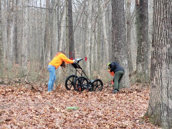 2 BSU undergraduate students perform GPR survey in the the Hoosier National Forest.