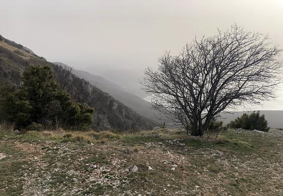 Mountains, mountains everywhere! Here a foggy lake seen from top of one, with a poetic tree / bush fighting the wind in front.