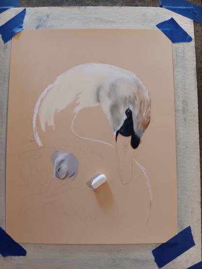 Partially done artwork in soft pastels on light yellow paper depicting a swan in profile facing right with a young chick resting upon its wing area.