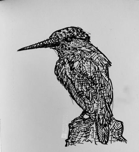 Black ink on paper.

Sketch of a bird sitting on some kind of wood.