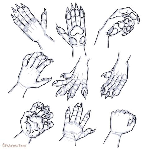Several sketches of werewolf hand paws, with five fingers, pawpads, and claws.