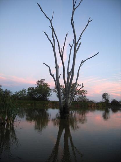 photo - wetland, Australia