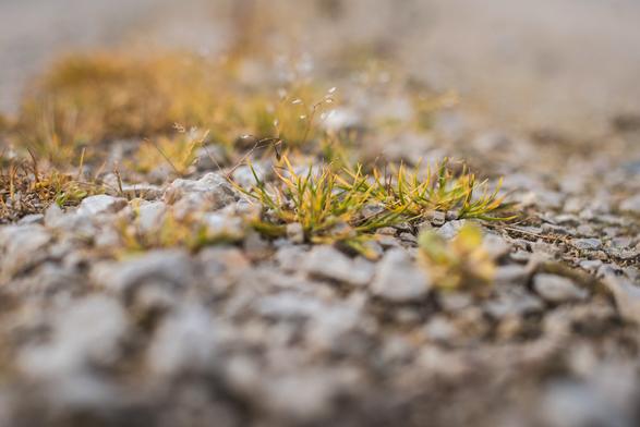 détails d'un chemin "civilisé"