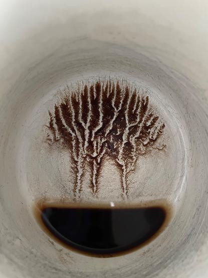 coffee grounds at the bottom of a mug looking like three trees stood on an island