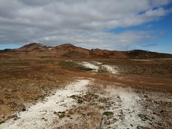 Deux bandes blanches constituées de milliers de débris de coquilles d’œufs.