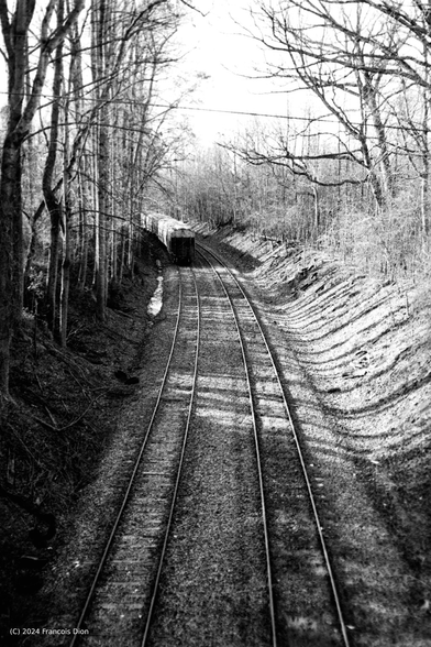 Two train tracks, one empty, one with a train without engine, flanked by trees. Shadows make an interesting pattern across the tracks