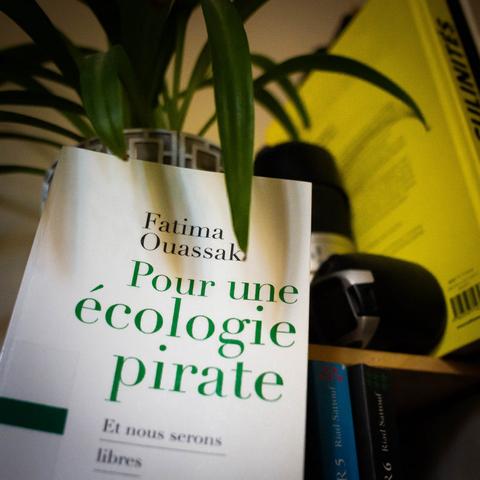 Photo du livre sous une plante