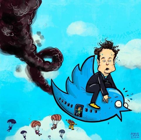 🐦 on a wired ☑️