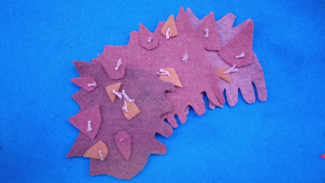 The sea cucumber can jump if it wants to.