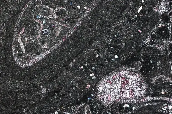 Rock sample under microscope