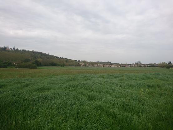 The target point. There isnothing there, it's in the middle of a grass field (well, not really in the middle, I shot the picture pointing in the most empty directihn for dramatic effece, there is in #act a house/farm just behind me)