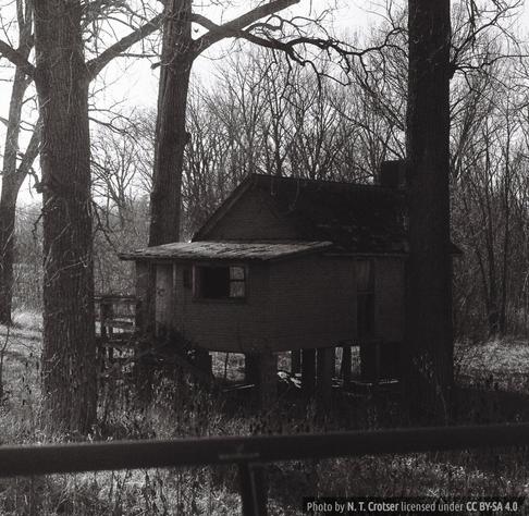 A long abandoned house on stilts in the woods.