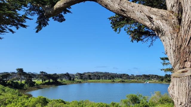 The blue waters of Lake Merced, CA