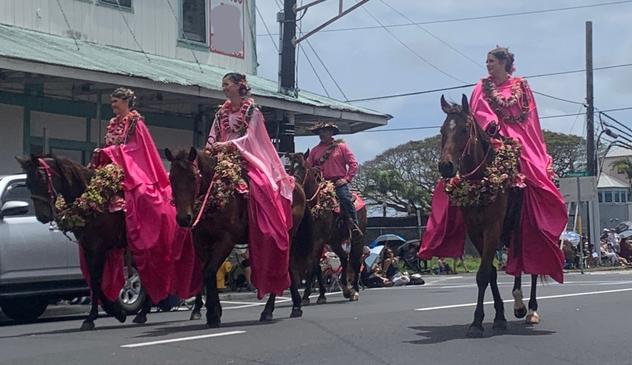 Fancy dressed woman on a fancy dressed horse.