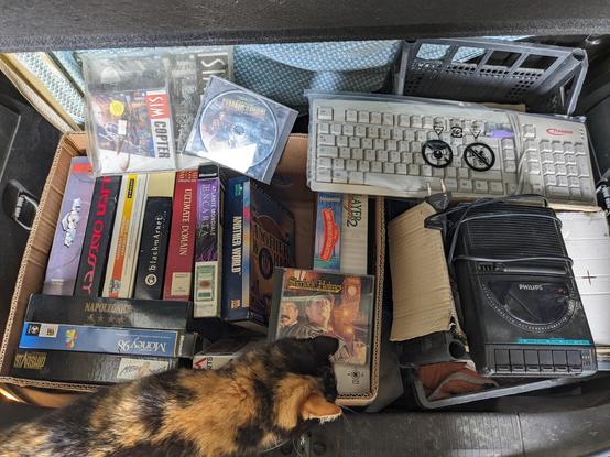 Cardboard box of big box PC games sitting in the trunk of my car, plus a cassette player/recorder on the right, a PS/2 keyboard and a tabby cat inspecting everything