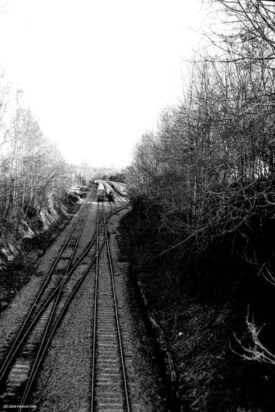 Triage yard with many train cars. Picture shows the main line, the secondary line and the diverting rails. The area is surrounded by heavily wooded area