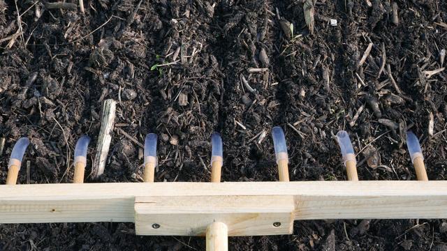 Drills marked on a bed with the pins of the rake in the drills.