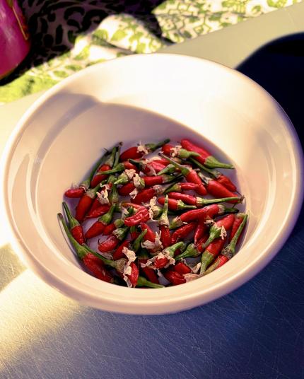 Freshly harvested small piripiri chilipeppers in a white bowl.