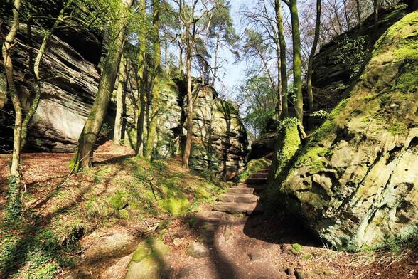 Felsformationen mit Bäumen, bemoost, und Wanderweg mit Treppe.