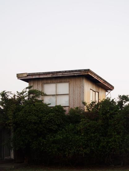 Fibro shack, the shape of a cube, with small windows on the sides, sitting behind a low greenery. Seems to be rusting.