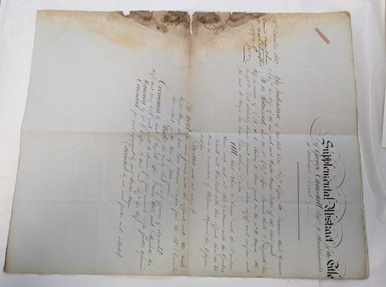A4+ size paper, bluish in colour. Discolouration at the centre fold line. A brown/black mottled area at the edge.