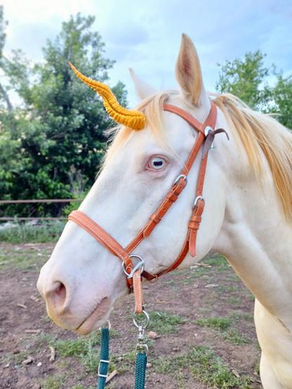 Side view of a perlino horse's head. He's wearing a bitless bridle and a gold unicorn horn.