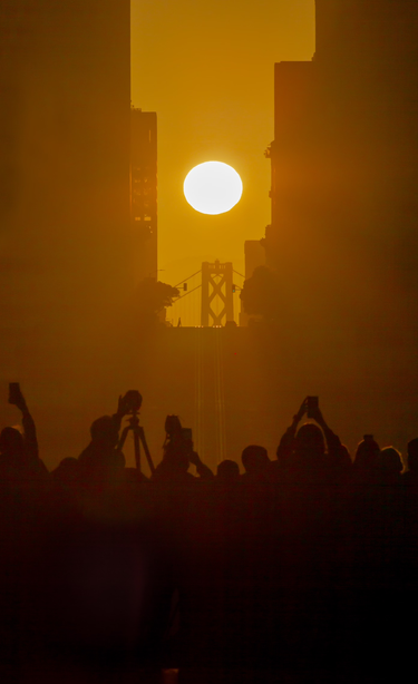 in golden tones, a photo of the sun rising between skyscrapers, the SF Bay Bridge is visible below the sun as well