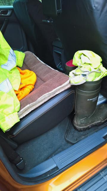 Did we #Decide on a #BringYourBestWelliesToWorkDay...?