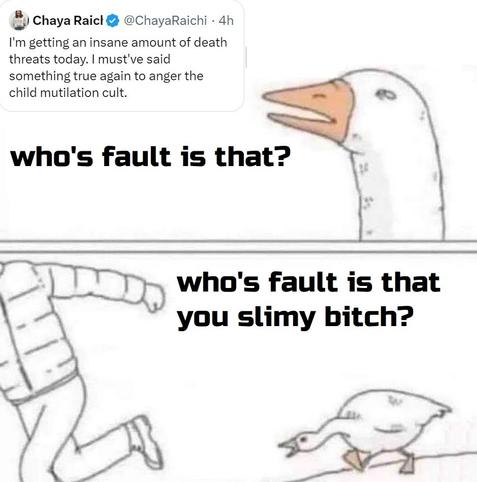i:g) Chaya Raicl @ @ChayaRaichi - 4h I'm getting an insane amount of death threats today. | must've said ‘ something true again to anger the - g child mutilation cult. Q\ who's fault is that? \x y 5 - m who's fault is that \, you slimy bitch? ’ 7 AR ~ i i R