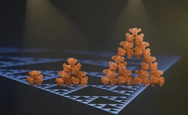 Illustration of the molecule discussed in the study