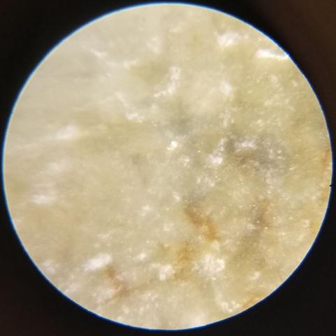 Фотография одной из граней. Она желтоватая, с оранжевыми и серыми пятнами. Немногочисленные невысокие выступы отдают жирноватым блеском.