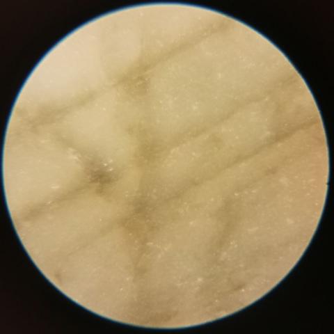 Фото спайности, средняя, бледно-жёлтая часть камня. Слои чётко выражены, хотя и не так выделяются цветом. Видна небольшая трещинка, пересекающая слои.