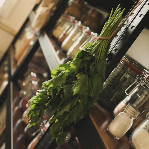 Hängendes Bündel Knoblauchrauke
-
Hanging garlic mustard