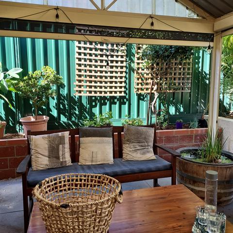 A green fence with a brick garden bed in front. The patio now has a bench seat and table with water bottle and glasses on it. A washing basket is there too. Some pit plants are in the raised garden 

.
