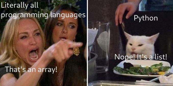 Two women ("Literally all programming languages") yell at cat: That's an array!
Cat ("Python") says: Nope! It's a list!