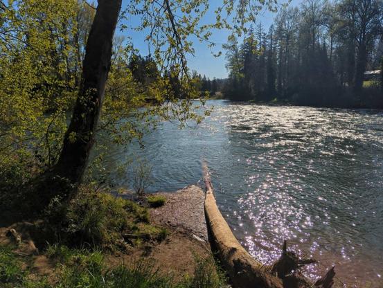 A sunny early spring day with the Santiam River in Oregon winding through the distance.