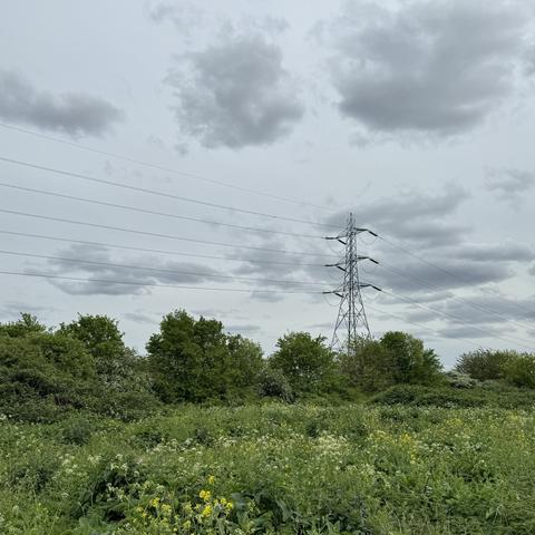 Meadow with some flowers and grass, a few trees behind, a huge electic pole behind and cables going through from left to right. Clouds in the sky.