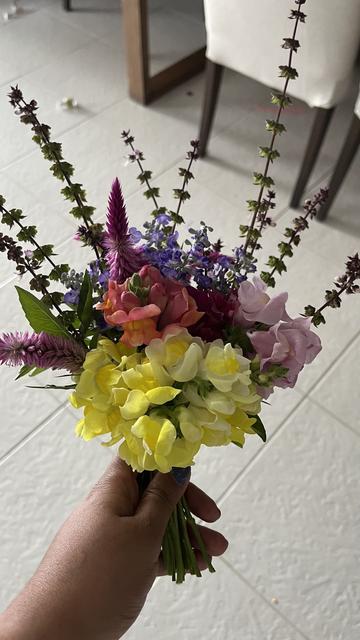 Snapdragons, basil, plumed cockscomb flowers, salvia