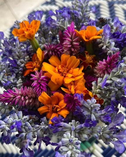 Salvia, marigold, and plumed cockscomb Flowers