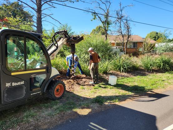 Bobcat with auger and two blokes, digging holes in a native garden bed.