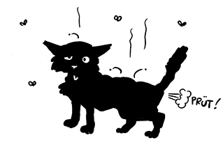 un chat tout pourri