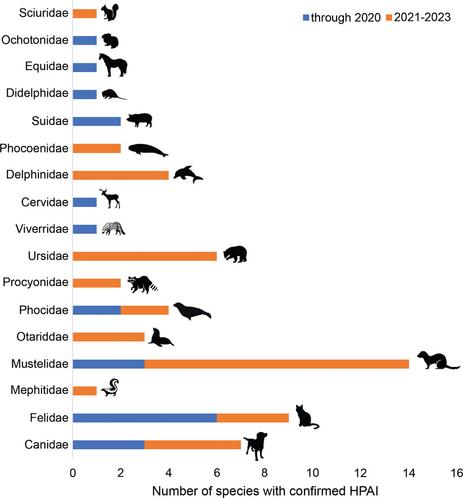 The total number of species with confirmed HPAI infection within a family is shown. Detections of HPAI
through 2020 are shown in blue. New species with HPAI detections from 2021 to present are shown in orange.