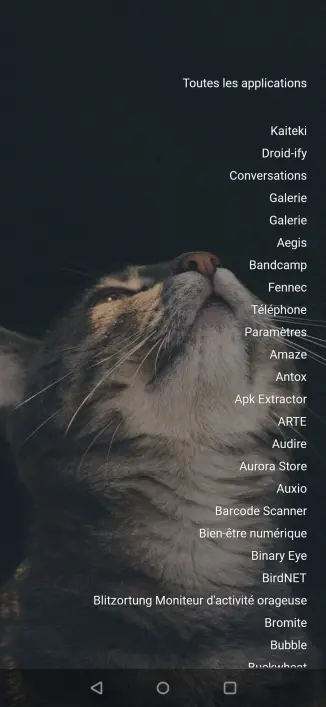 Screenshot de mLauncher montrant la liste des apps installées.
