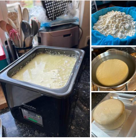 Warming cheese curds, a mound of thumb nail sized curds, brining the cheese, drying the cheese before ageing.