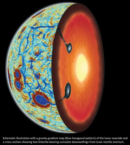Schematic illustration with a gravity gradient map (blue hexagonal pattern) of the lunar nearside and a cross-section showing two ilmenite-bearing cumulate downwellings from lunar mantle overturn.