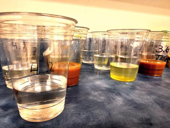 Filtered water samples ranging from clear to green to brown in color