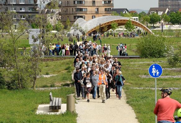 Führungen über das Gelände Klimapark-West auf Spinelli. 

Bild: Thomas Tröster