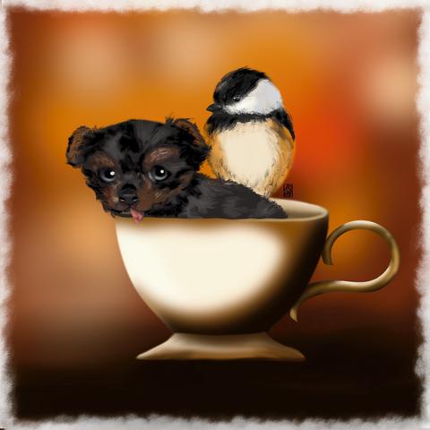 Pup in a teacup and chickadee pierced on the lip